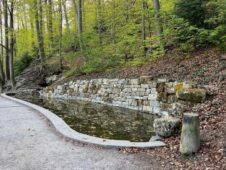Landschaftsgestaltung Englische Anlage Bern Hella Schindel 1
