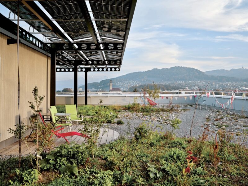 Warmbaechli P0115344