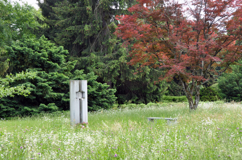 2018 B Gemeinschaftsgrab Anatomie Nicole Riedo 01