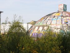 Lebnsraum Stadt Fiona Hofer